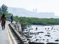 最美海景 下白泥