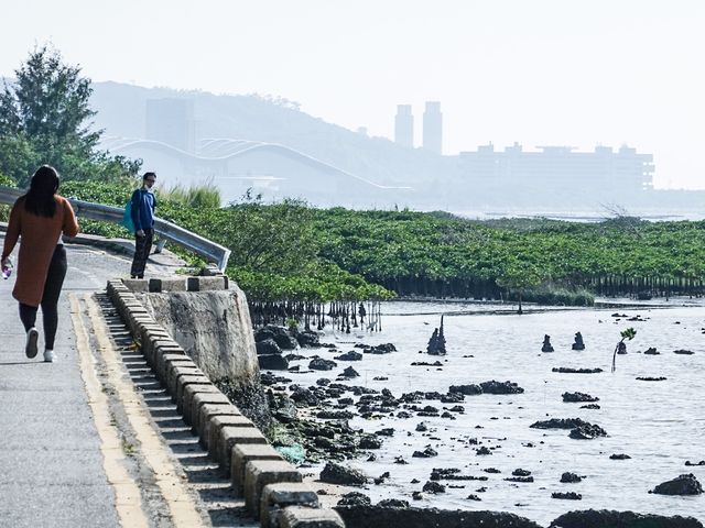 最美海景 下白泥