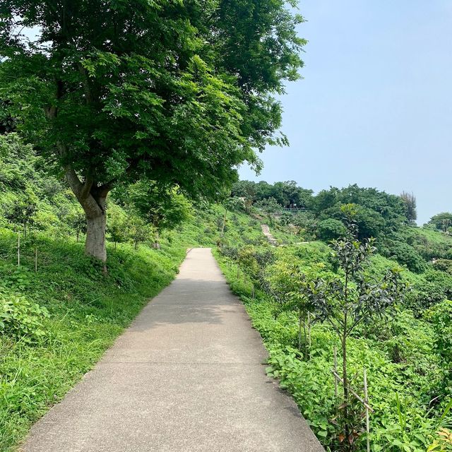 澳門人遊澳門🇲🇴旺中帶靜行山篇