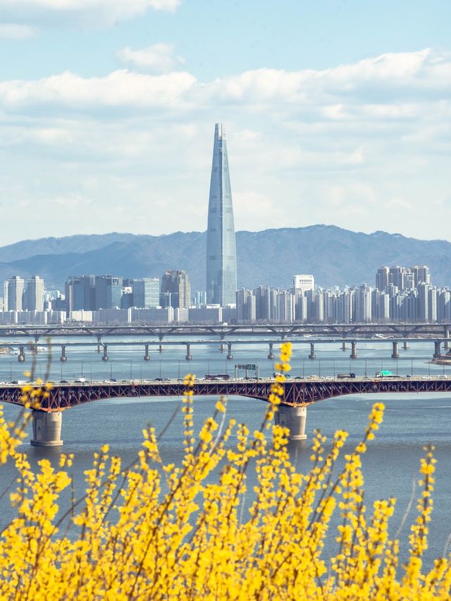 개나리 가득했던 달맞이근린공원