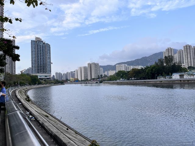 平靜的擁抱怒與哀樂