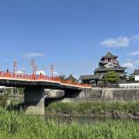 愛知県　清洲公園のつつじ