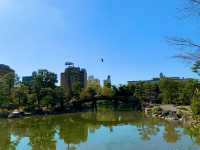 京都　京都散策旅　渉成園の庭園と桜のコラボに感動❗️