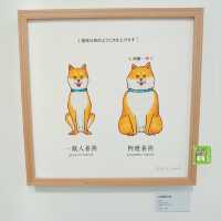 超人氣插畫家保羅先生首個香港展