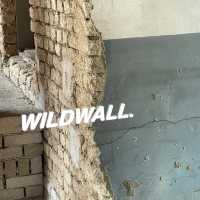 성수동 핫한 신상카페✨ WILDWALL🤘🏻