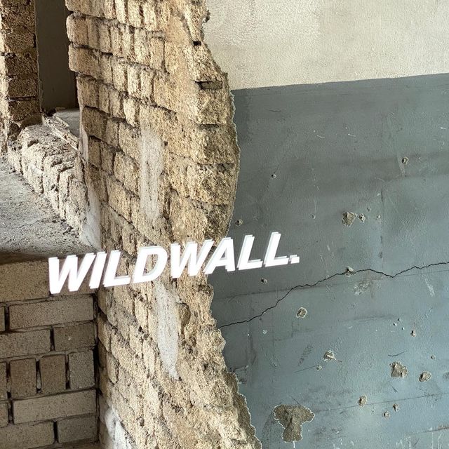 성수동 핫한 신상카페✨ WILDWALL🤘🏻