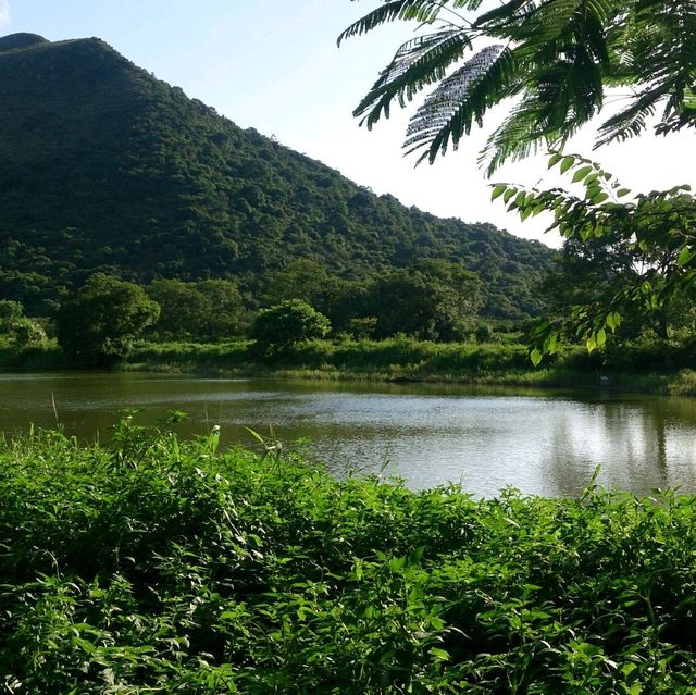 鹿頸景色