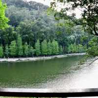 滿山翠綠流水響