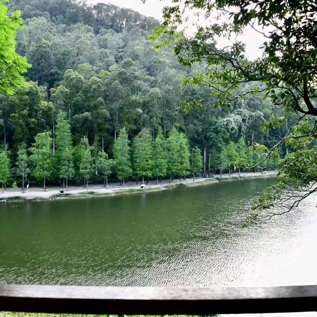 滿山翠綠流水響 滿山翠綠流水響