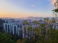 香港人之山~獅子山🦁