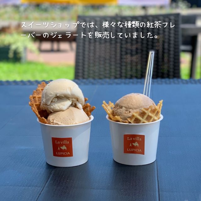 【北海道】紅茶好き必見！ニセコおすすめスポット