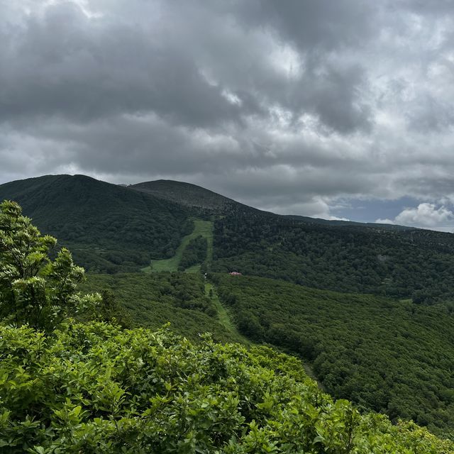 Summer at Zao Ski Resort Onsen