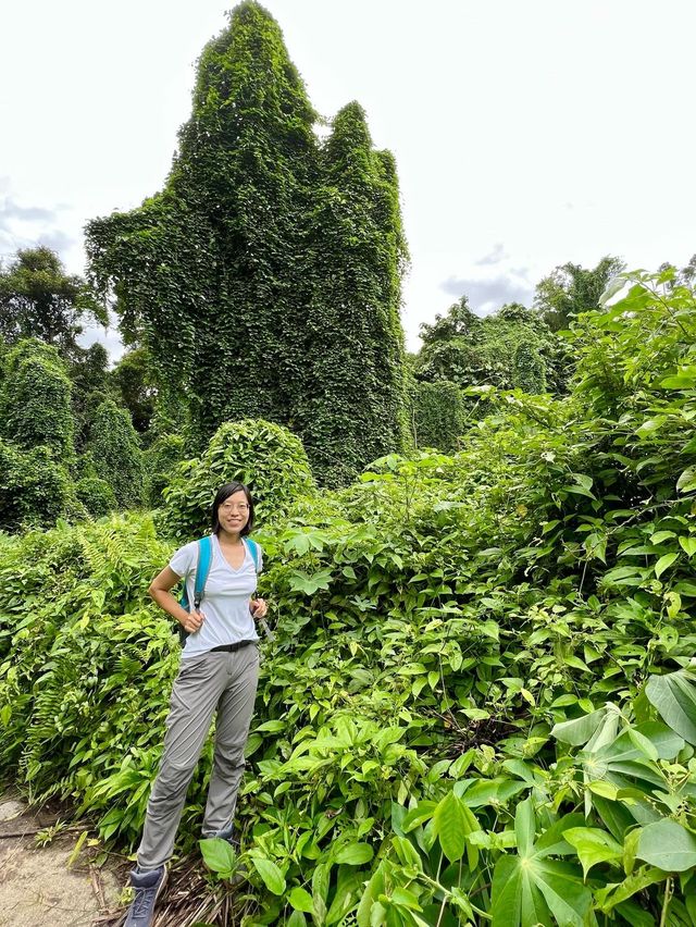 Searching for the Avatar Trees of Singapore