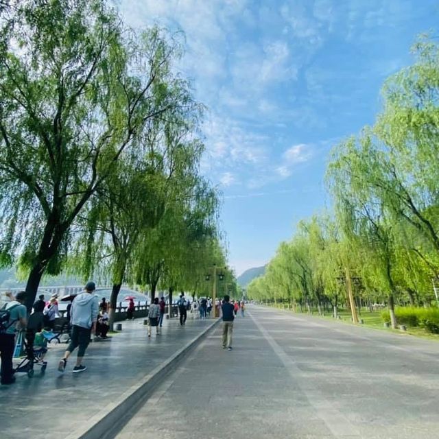 Longmen Grottoes of Luoyang