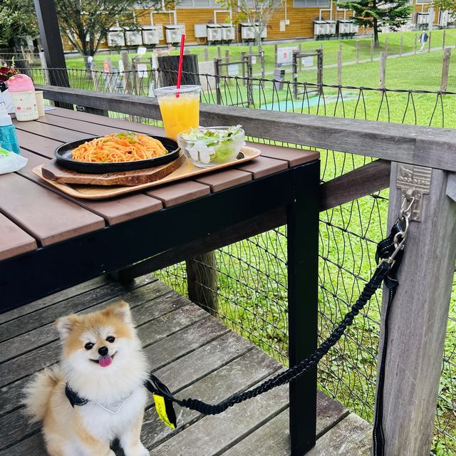 ペットと子供連れに優しい軽井沢アウトレット