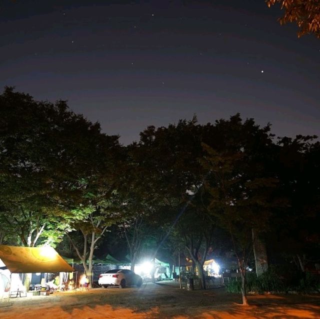 양주 캠핑장 추천 * 남경수목원캠핑장