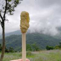 不老部落一日遊