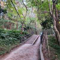 🚶🏻 도심 속 숲길을 거닐다, 한라수목원 산책길