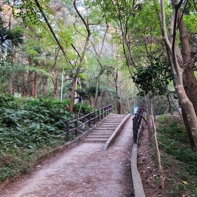 🚶🏻 도심 속 숲길을 거닐다, 한라수목원 산책길
