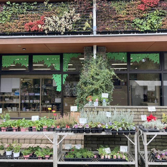 京都市　京都府立植物園