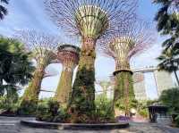 Beautiful gardens & a must see at Singapore