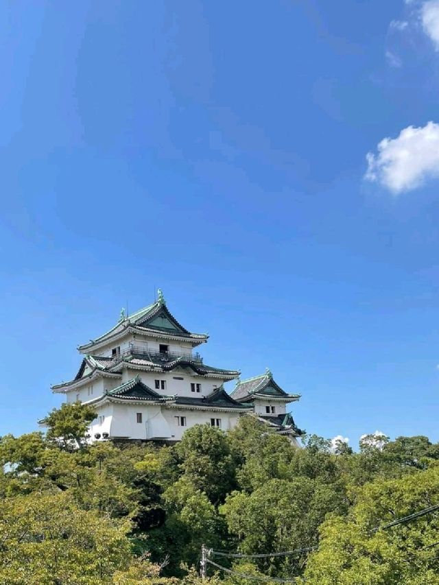 Visiting the Wakayama Castle