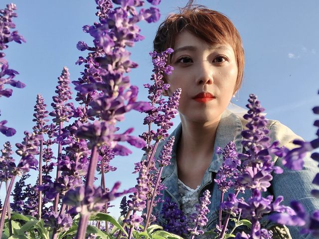 臺中后里 市郊人氣後花園 中社觀光花市花海