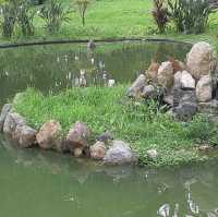 沙田中央公園