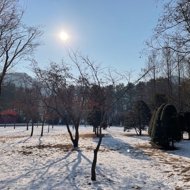 韓國🇰🇷春川南怡島🤲🏻冬日戀歌之路😌雪地浪漫💕漫步