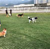 香港探險日記 之 大埔海濱公園
