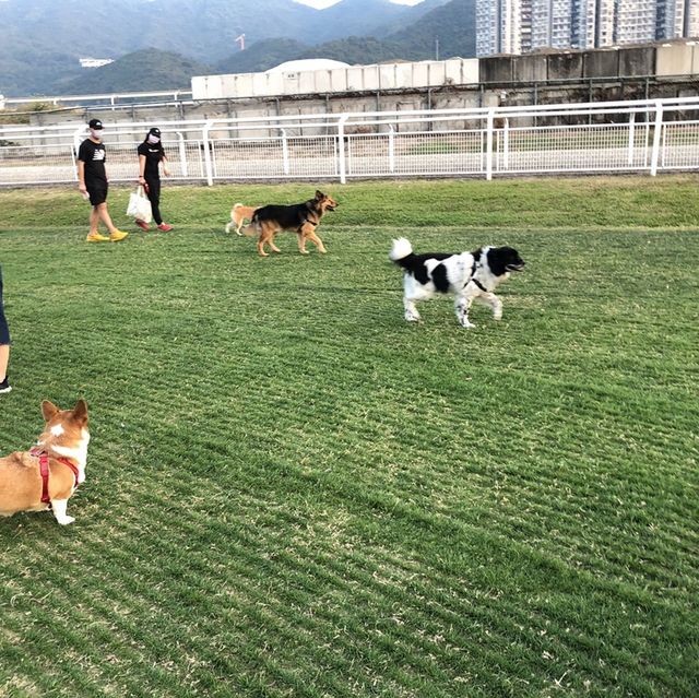 香港探險日記 之 大埔海濱公園