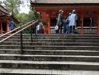 Fushimi Inari Taisha, Kyoto 