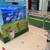 香港地質公園10周年巡展