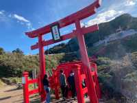 山口観光⛩赤青緑のコントラストが美しい👏👏【元乃隅神社】