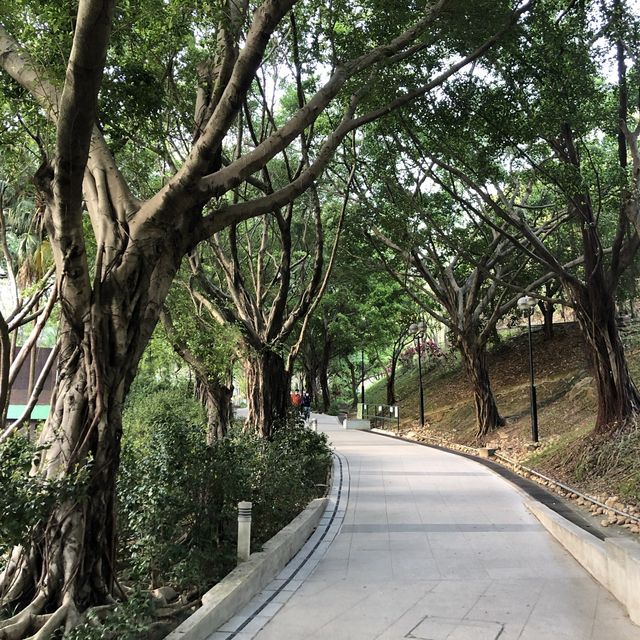 🌲荃灣後花園🌹尋找復活兔🐰
