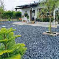 คาเฟ่ ทางไปวัดหลวงปู่สรวง ต.ห้วยตามอญ อ.ภูสิงห์ 