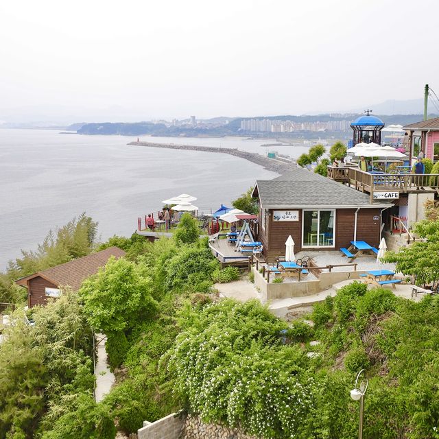 동해 도째비골 스카이밸리 날으는 자전거
