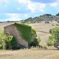 意大利Toscana🇮🇹 徒步旅行San Quirico d'Orcia-Pienza