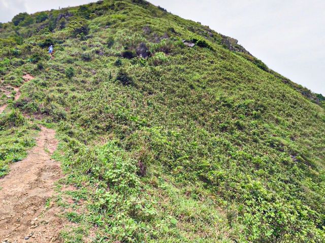 昂坪大草原· 馬鞍山-新手行山路徑