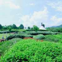 8 things You must Do & See in Khao Yai