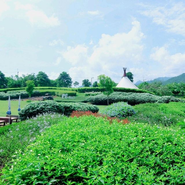 8 things You must Do & See in Khao Yai