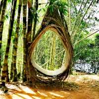 Greenary day out @ Bamboo Garden