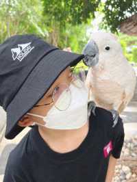 Hello มา Huahin Safari กันเถอะะ!!