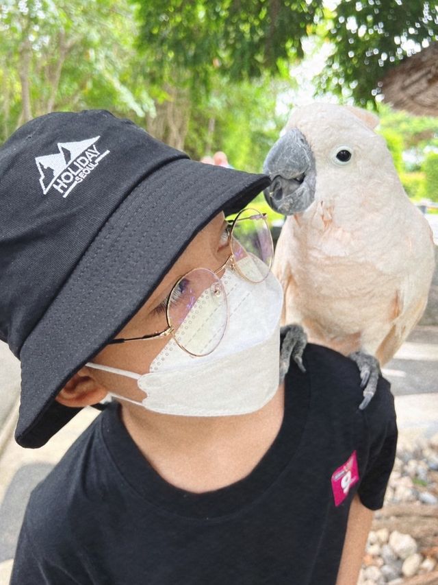 Hello มา Huahin Safari กันเถอะะ!!