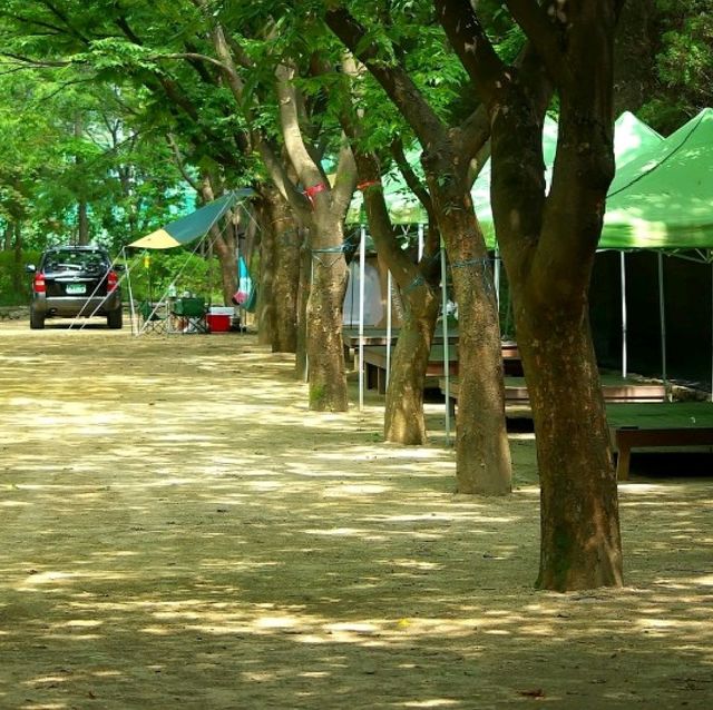 양주 캠핑장 추천 * 남경수목원캠핑장