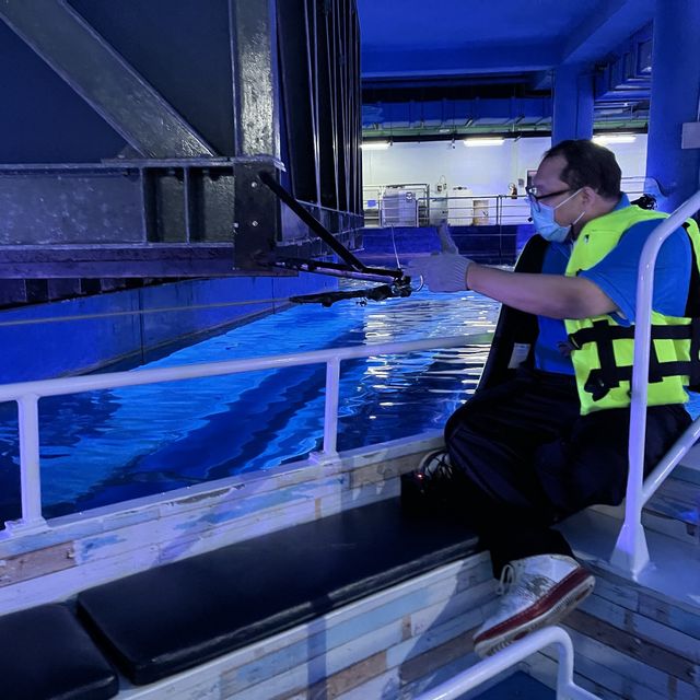 近距離欣賞海底世界的水族館！