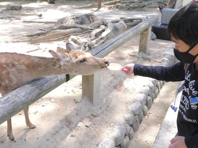 奈良•東大寺へ
