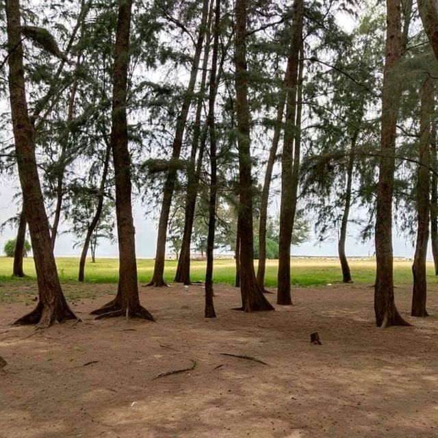 จิบชากินอาหารทะเล...ตะวันโพล้เพล้ที่หาดนราทัศน์