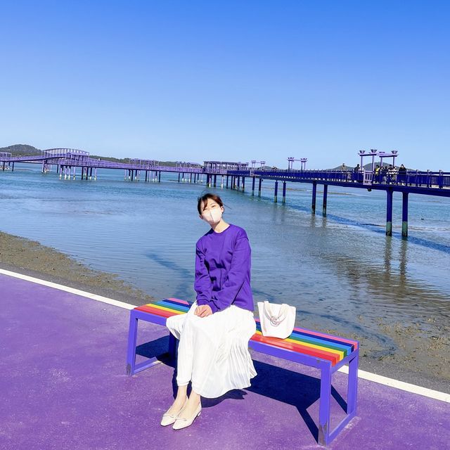 온세상이 보라보라해 💜 신안 핫플 “퍼플섬”🏝️