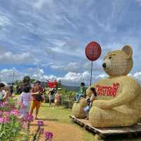 สวนดอกไม้ “ไร่เจอชัย” บนทุ่งกังหันลมเขาค้อ